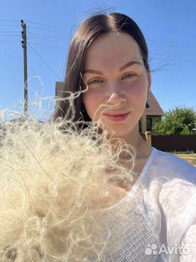 Стифа(ковыль)