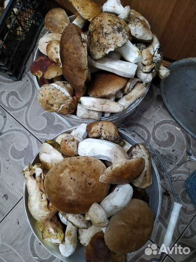 Грибы маринованные