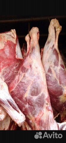 Говядина домашняя, мясо телятина