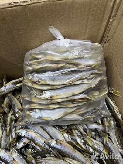 Корюшка вялено-сушенная Камчатская