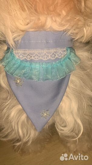 Бандана для собак