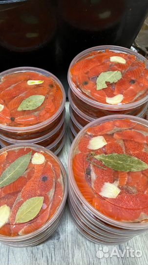 Рыба Кета, кижуч, нерка, гребешок