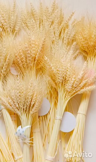 Букет пшеничный выбеленный