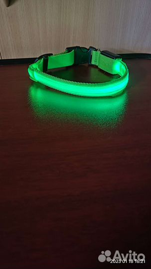 Ошейник для собак