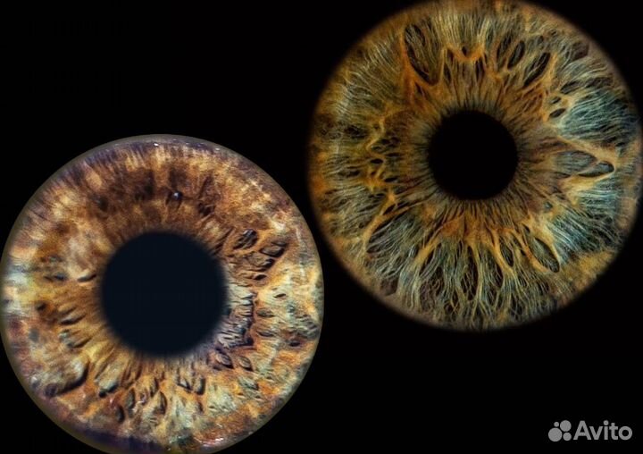 Фотостудия радужки глаза