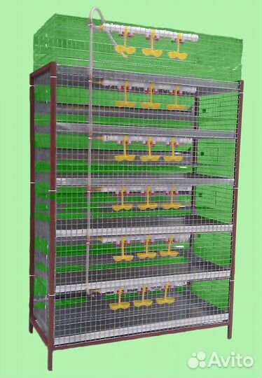 Клетки для перепелов