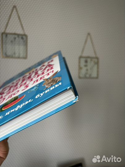 Большая книга развития Суркова Лариса Михайловна