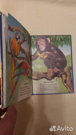 Книга для малышей. Животный мир