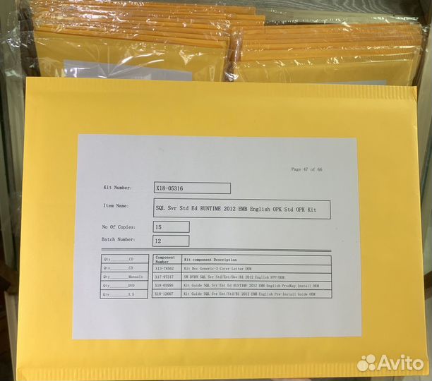 Microsoft SQL Server Standard 2019 ESD