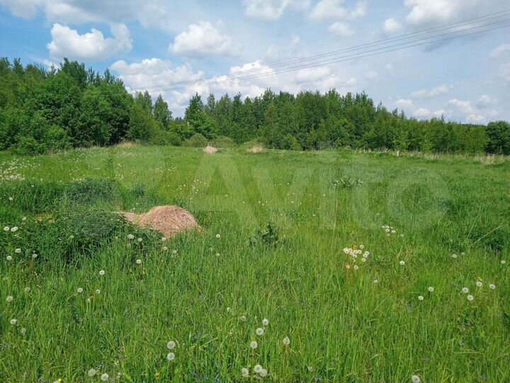 Участок 17 сот. (ИЖС)