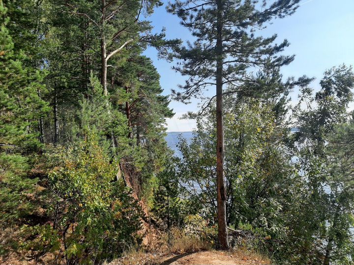 Участок 20 сот. (ИЖС)