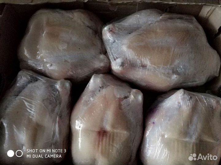 Мясо курицы бройлера, гуся, муларда, индейки