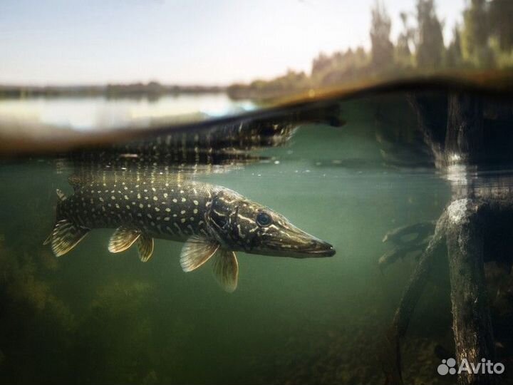 Подводная охота на Волге - Самара