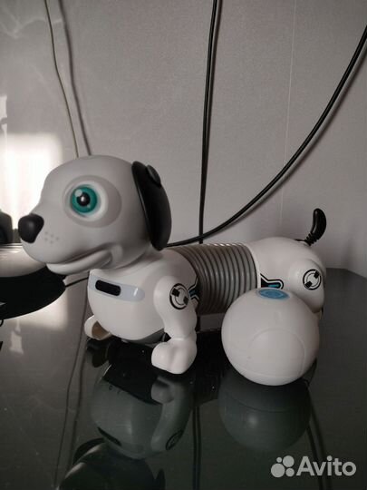 Собака робот