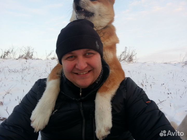 Идеальная собака-компаньон. Договор. Гарантия