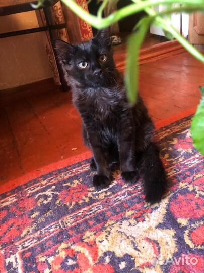 Мальчик в добрые ручки