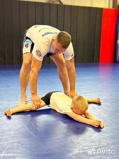 Смешанные единоборства