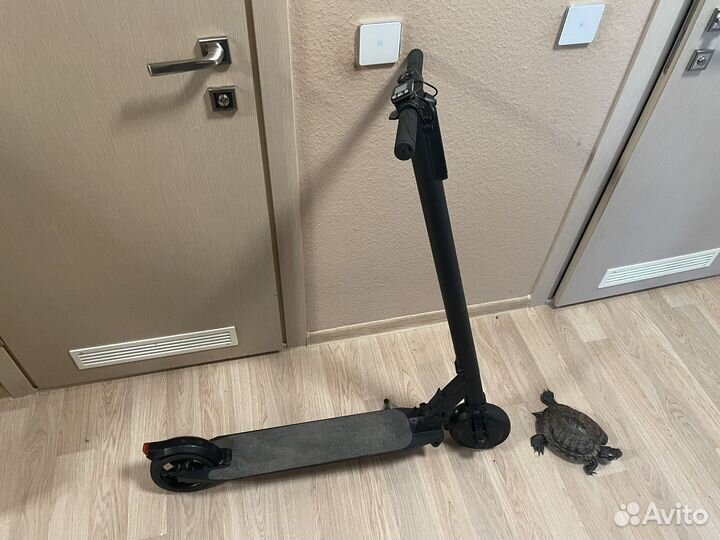 Электросамокат dexp esc1