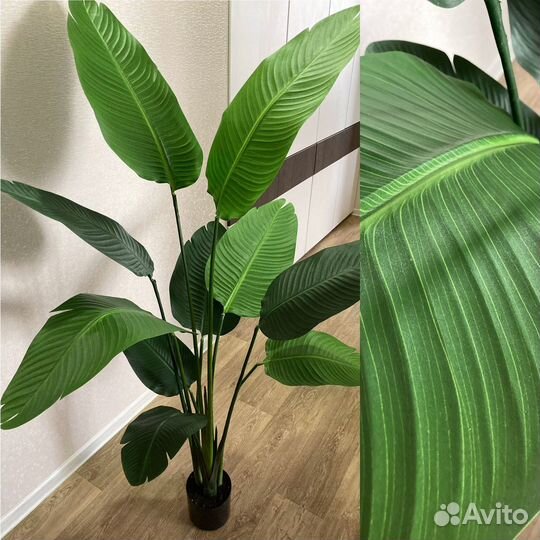 Искусственные цветы, деревья, растения, пальмы