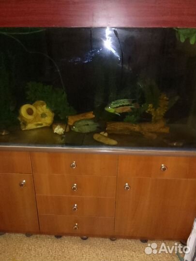 Аквариум