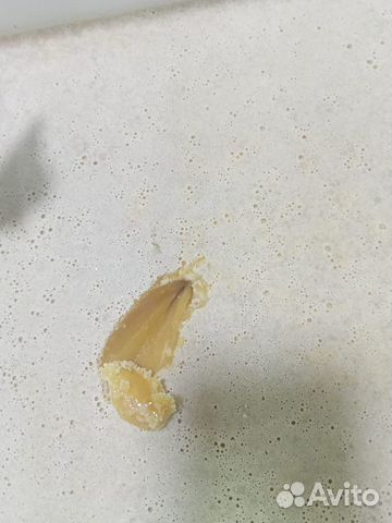 Мёд гречишный