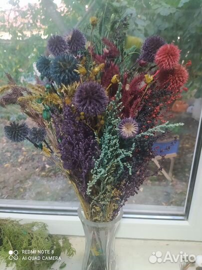 Сухоцветы для декора