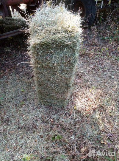 Сено в тюках