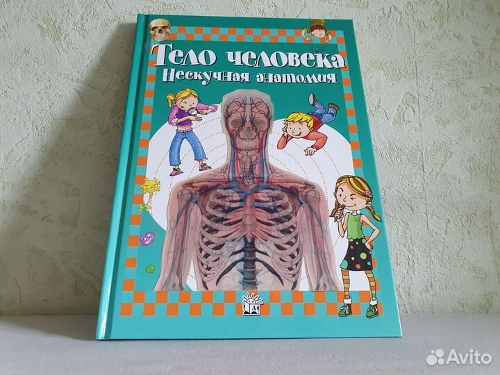 Детская книга Тело человека – нескучная анатомия