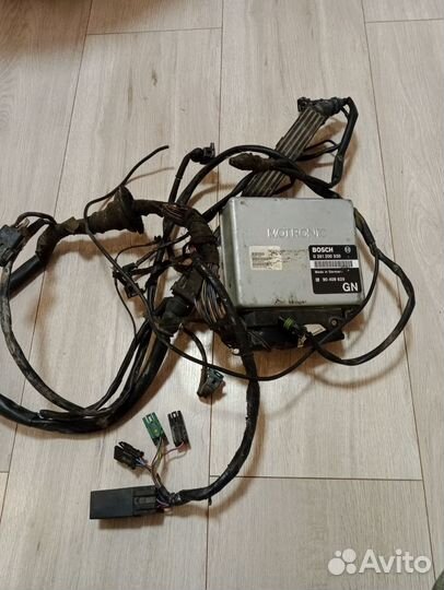 Опель калибра