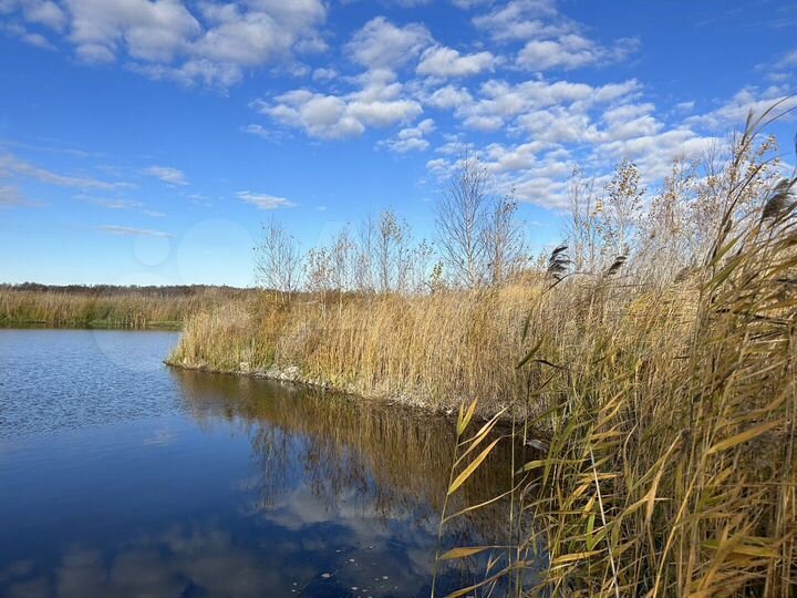 Участок 58,8 га (СНТ, ДНП)