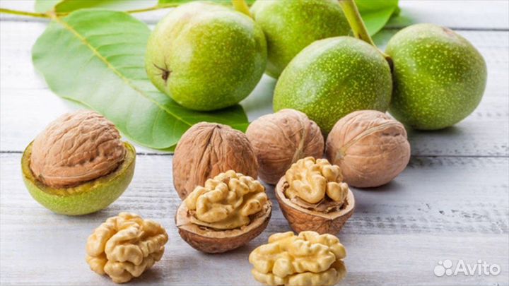 Саженцы грецкого ореха Идеал,Фернор и др