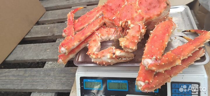 Краб камчатский весь краб здесь
