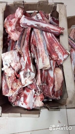 Кости для собак