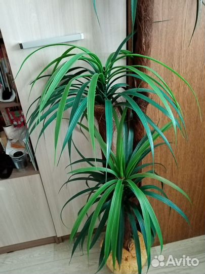 Пальма искусственная 1м 55 см