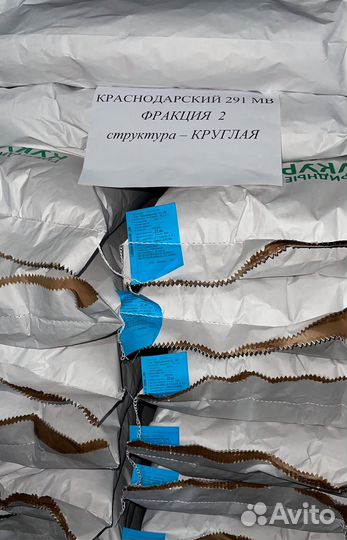 Семена кукурузы Краснодарский 291