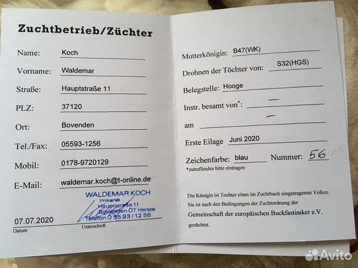 Пчеломатки f1 карника бакфаст пчелопакеты