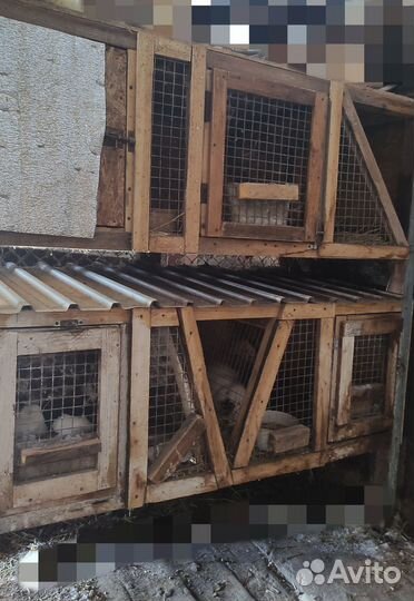 Клетка для кроликов