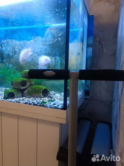 Продам аквариум +внутрянка