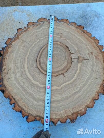 Комель, Торцевые спилы деревьев, Слэбы, Доски