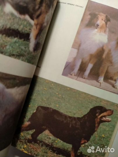 М.Г. Псалмов Книга Собаковода