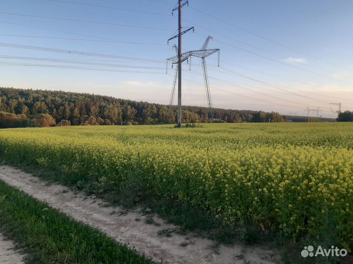 Действующее сельхозпредприятие