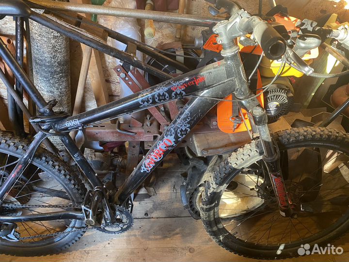 Norco wolweraine