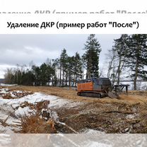 Аренда мульчера 450 л.с. на гусеничном ходу, Рязань