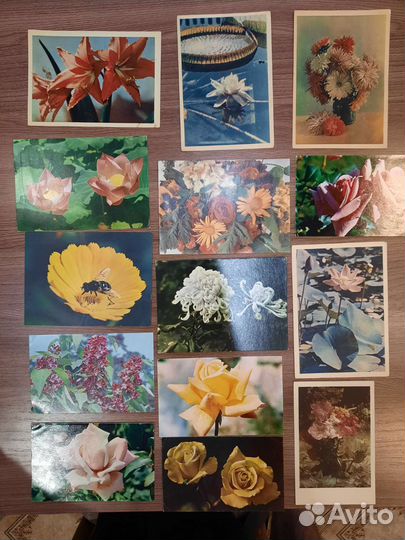 Открытки СССР