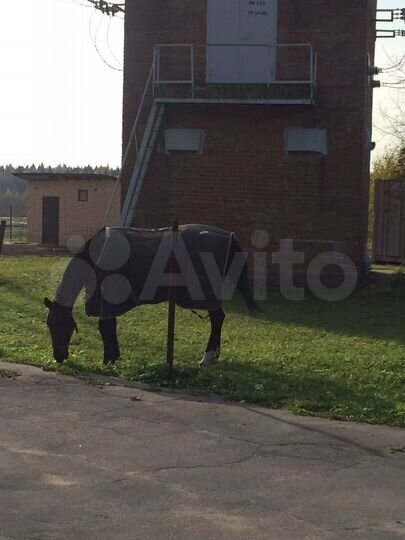 Участок 9,5 сот. (ИЖС)