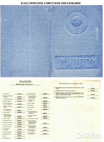 Технический план Межевание Кадастровый инженер