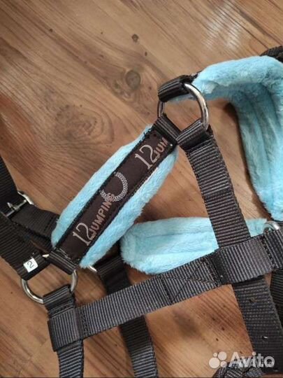 Амуниция для верховой езды, недоуздки