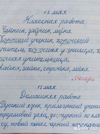 Репетитор, русский язык, логопед