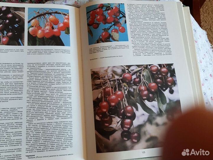 Книги для садоводов СССР