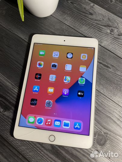 iPad mini 4 64gb cellular